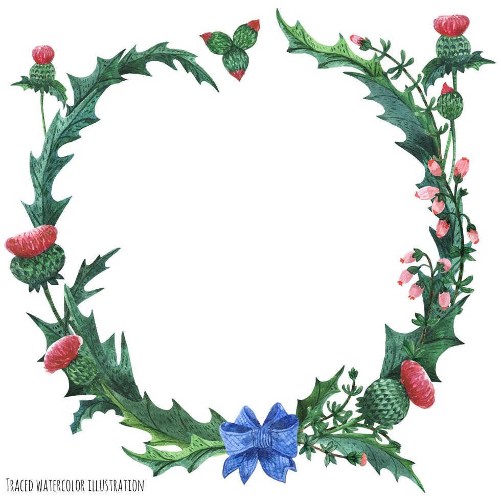 Wreaths from thistle and heather with blue bow-knot vector
