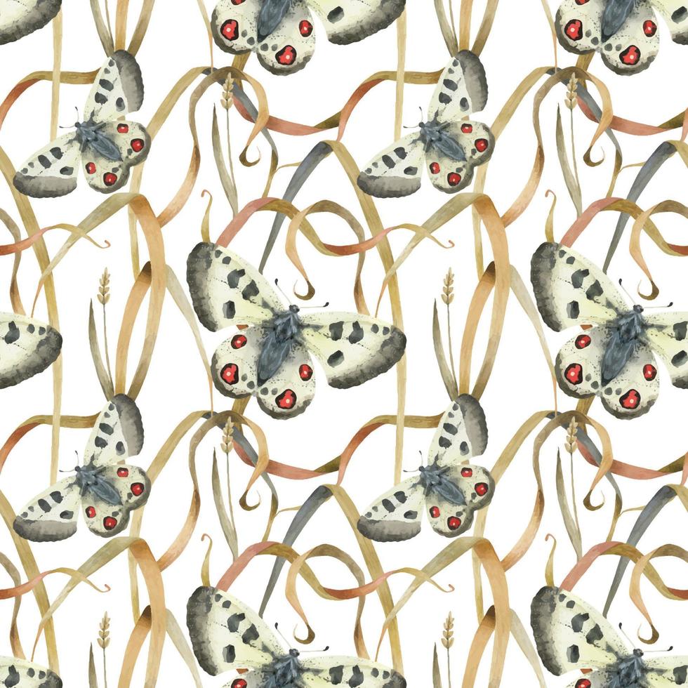 Meadow butterfly seamless pattern vector