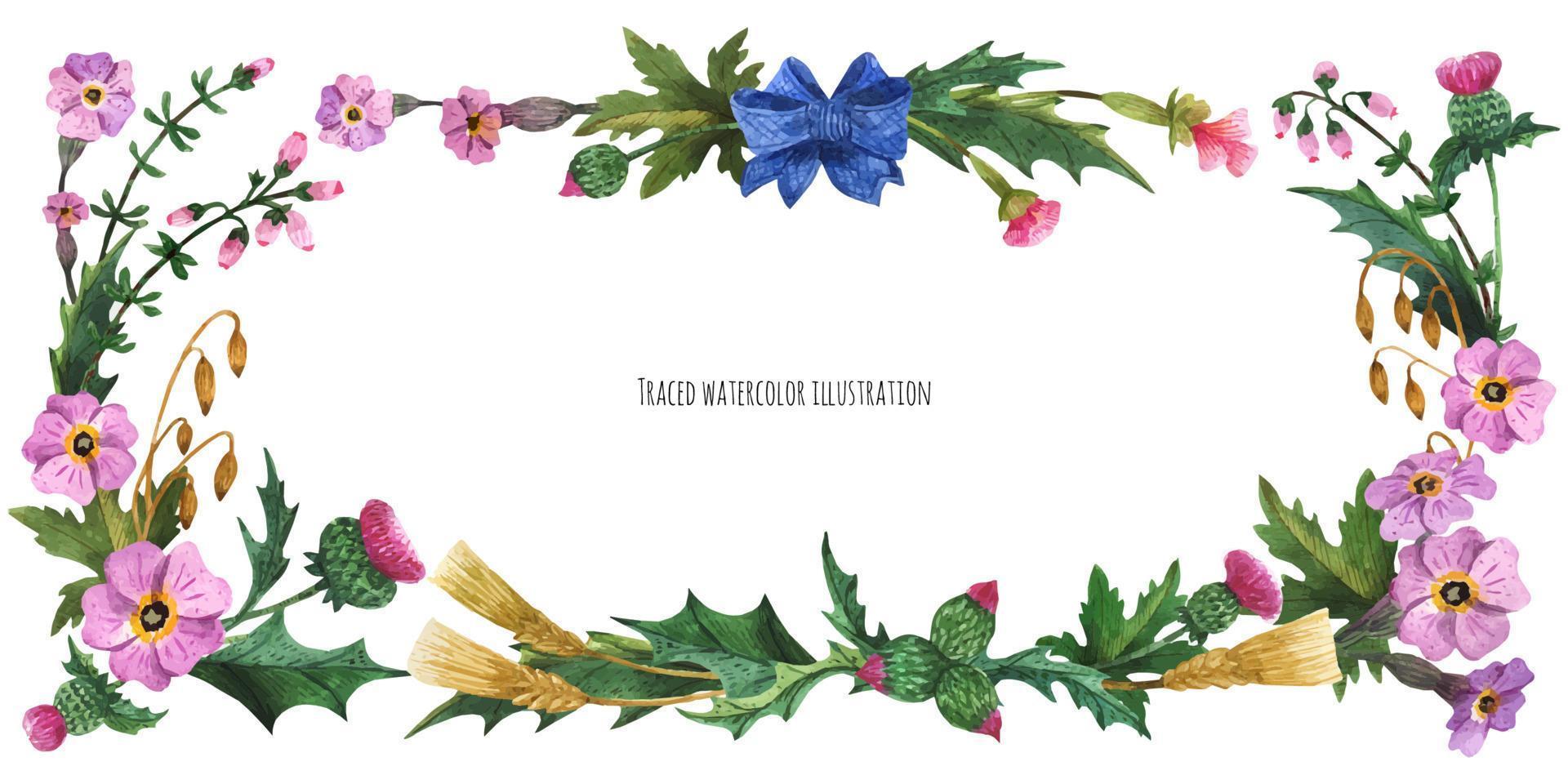 Head banner from plants of Scotland with blue silk bow-knot vector
