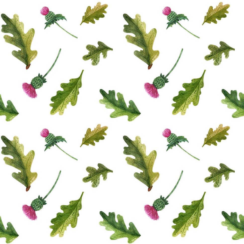 Oak Leaves and Thistle Flower watercolor seamless pattern vector