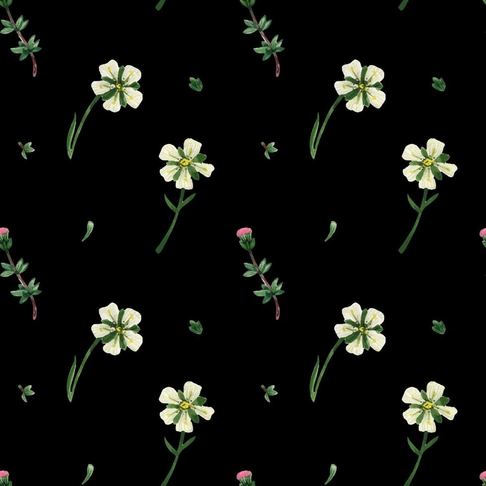 patrón floral transparente con plantas silvestres vector