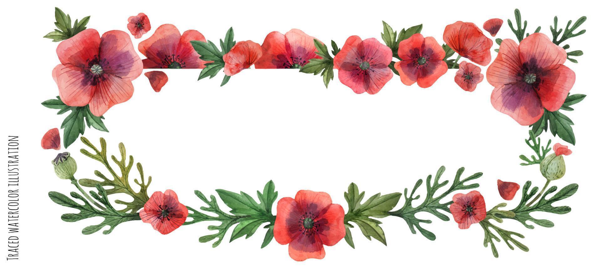 Poppy flowers header vector