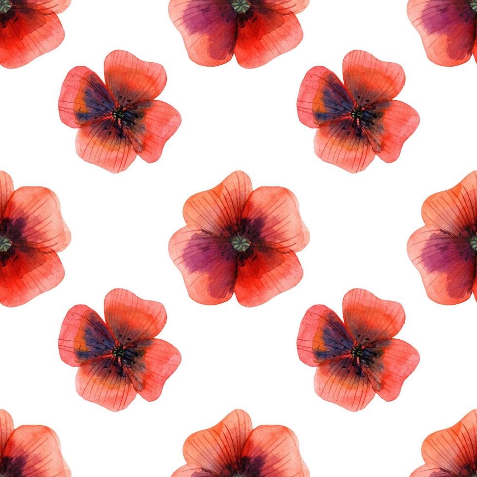 Meadow Poppy Flowers seamless pattern vector