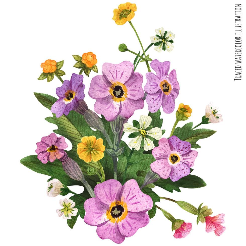 Scottish wild plants boutonniere vector