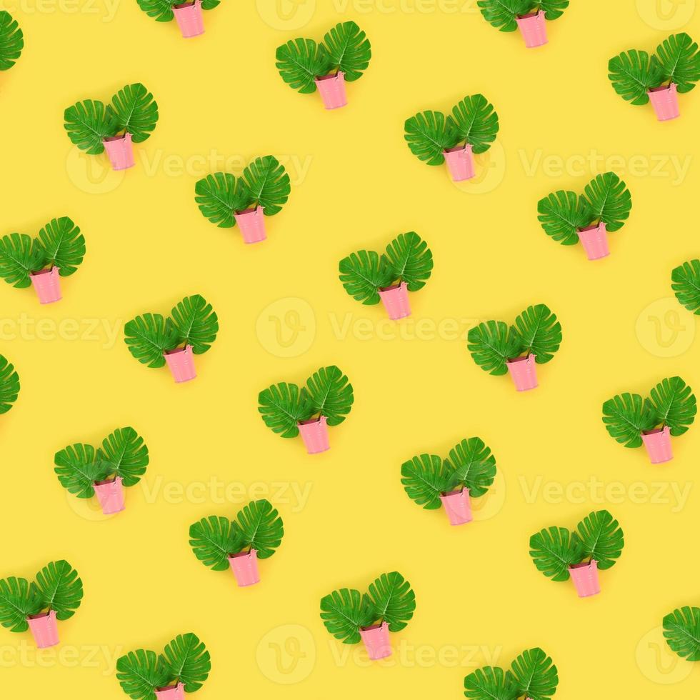 Tropical palm monstera leaves lies in a pastel pails on a colored background. Flat lay trendy minimal pattern. Top view photo