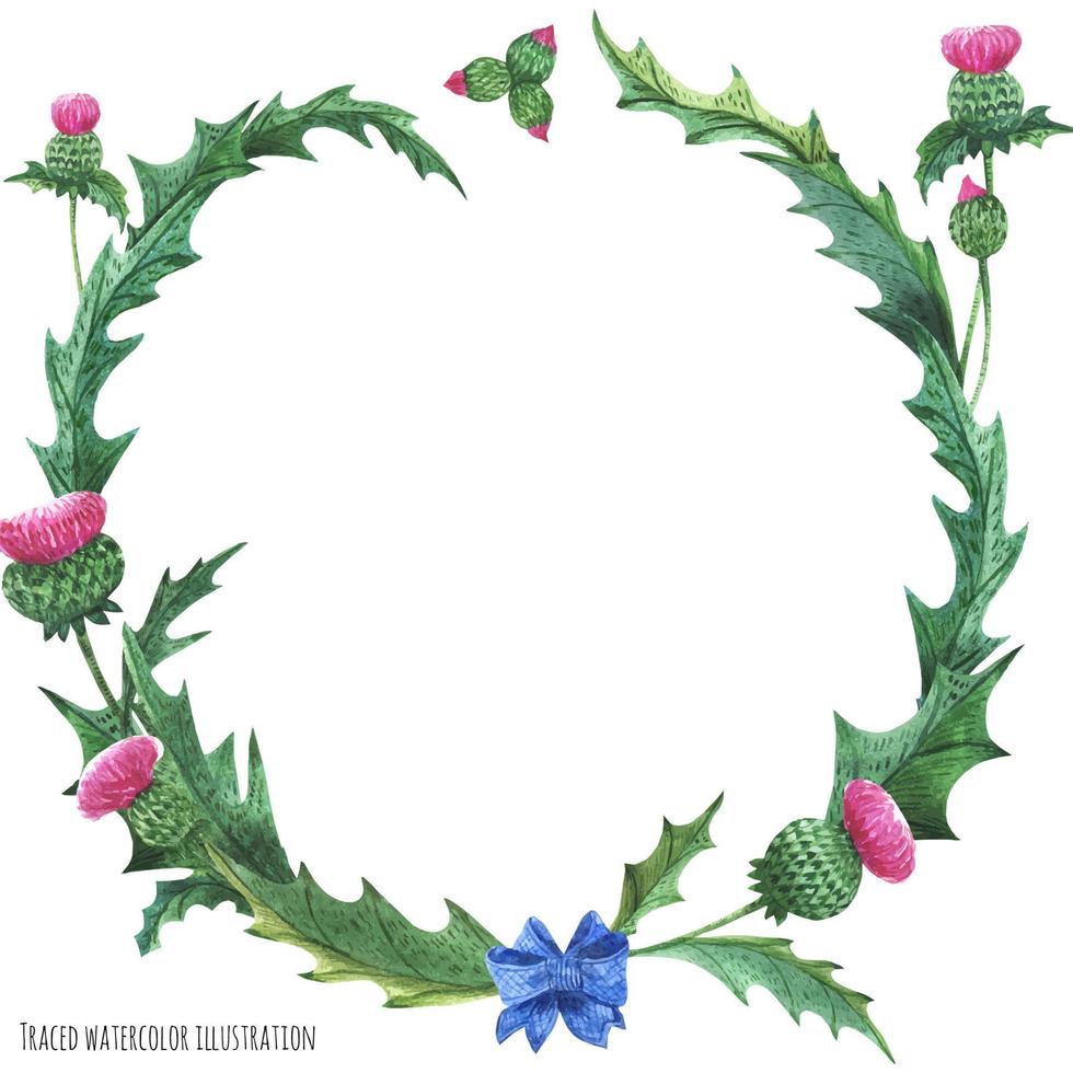 Wreaths from thistle with blue bow-knot vector