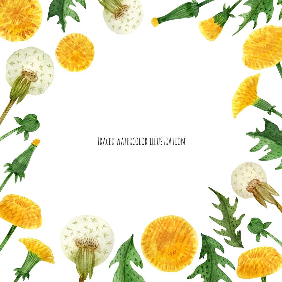 Square border from dandelion vector