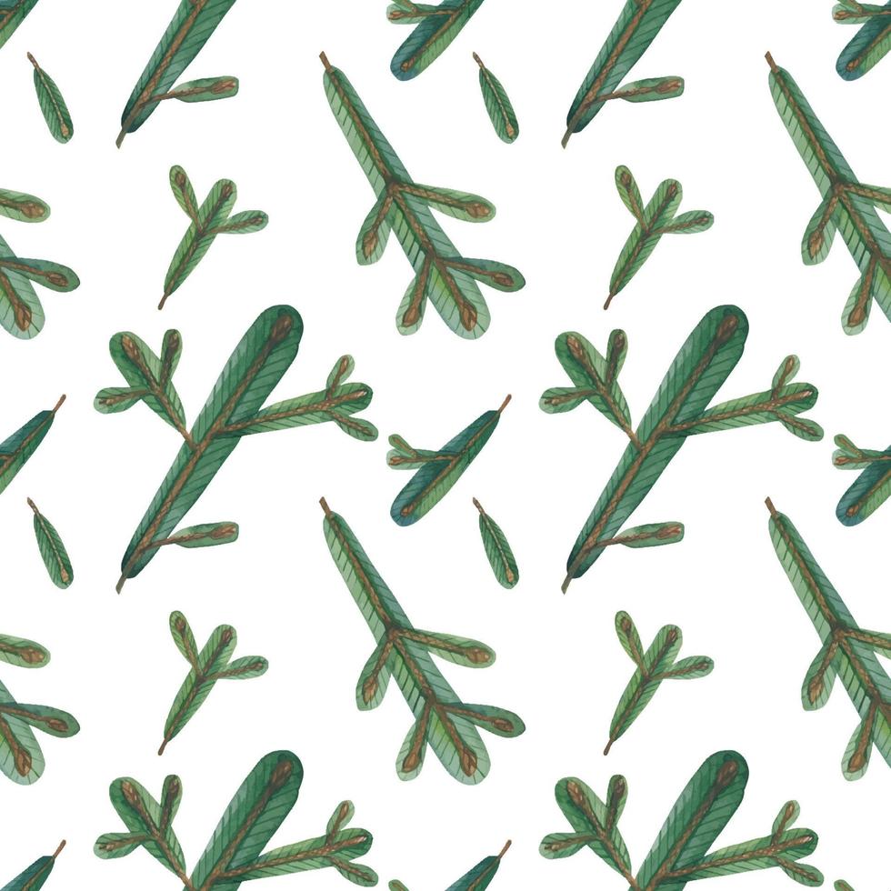 Christmas green branches seamless pattern vector