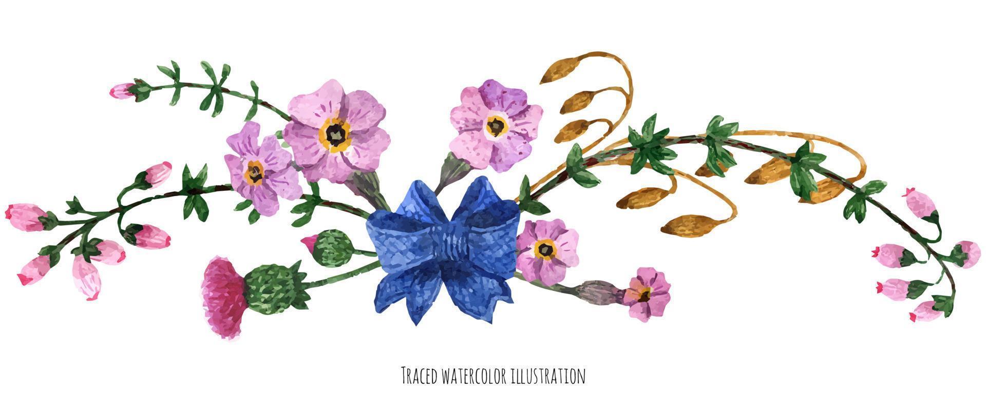 Vignette from wild plants of Scotland with blue silk bow-knot vector