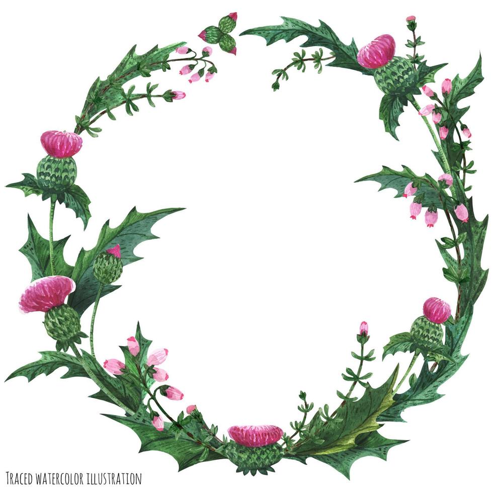 Wreaths from thistle and heather for decoration vector
