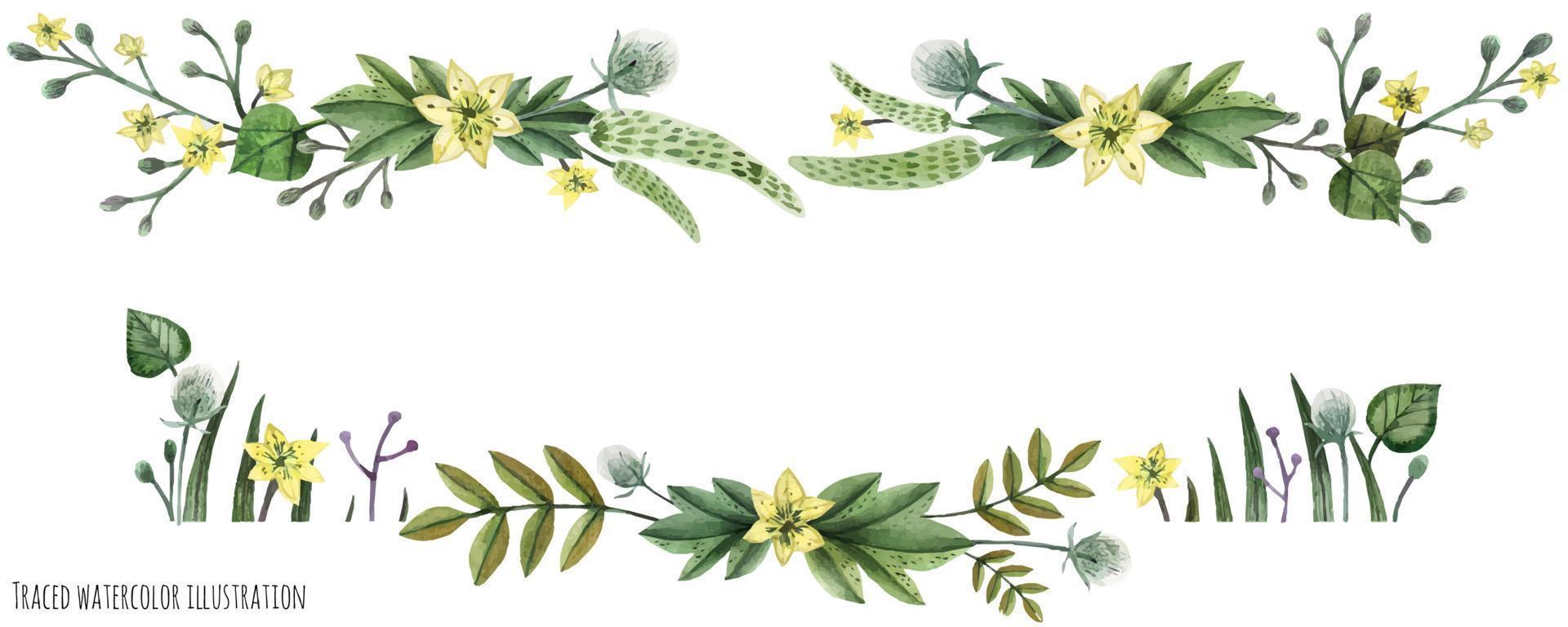 Wild Plants watercolor header vector