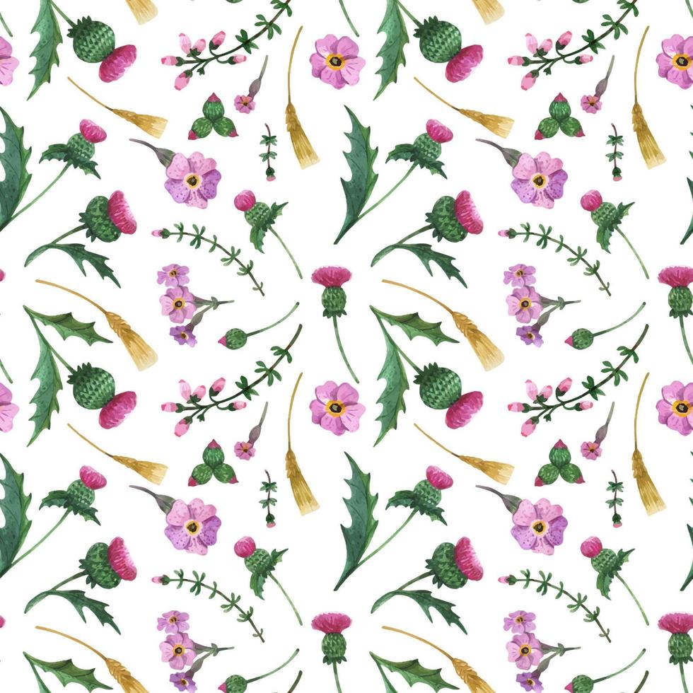 Thistle and Heather Flower watercolor seamless pattern vector