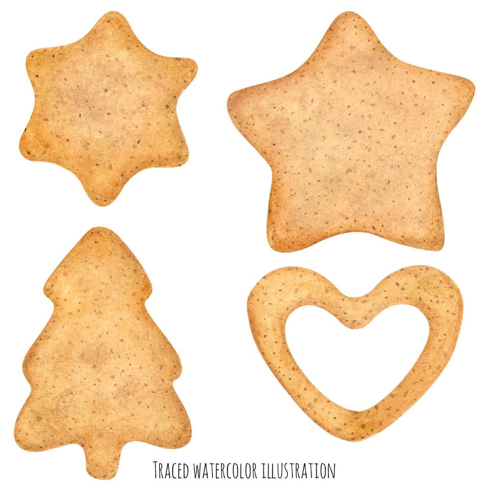 Homemade sugar ginger cookies vector