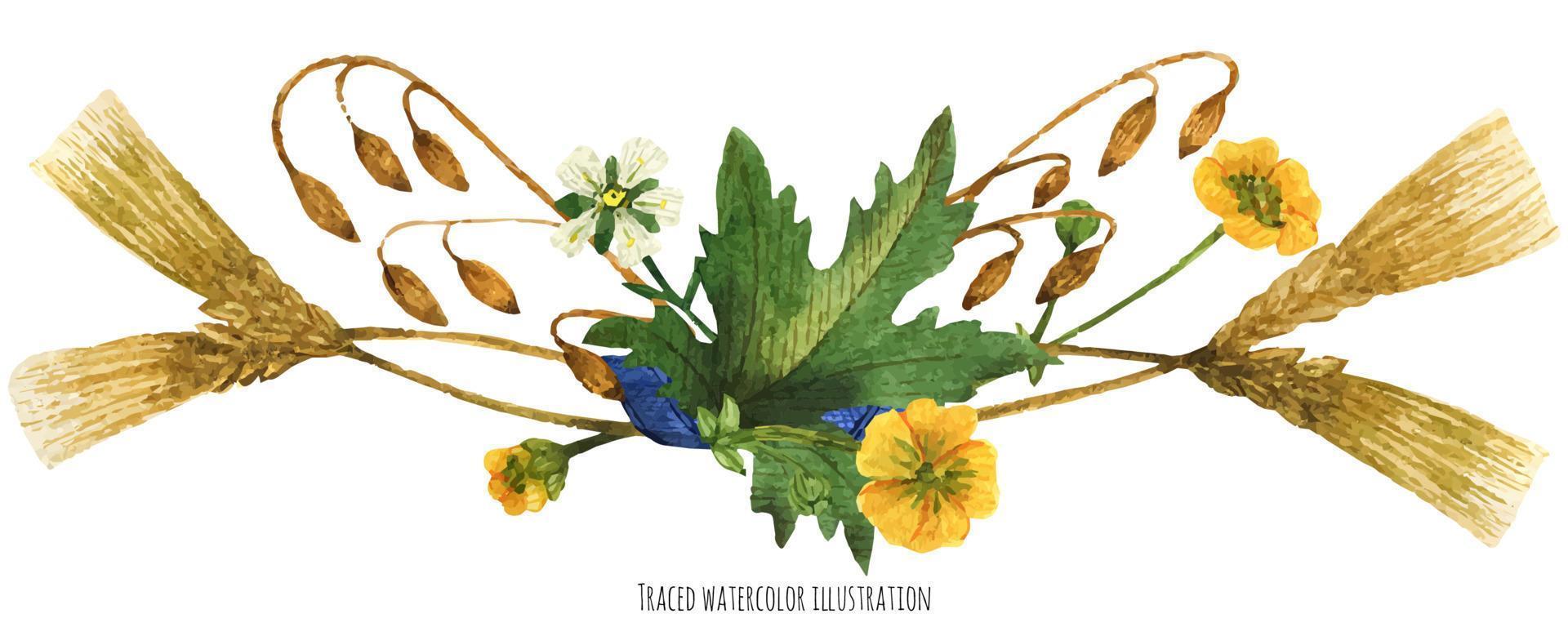 Vignette from wild plants of Scotland vector