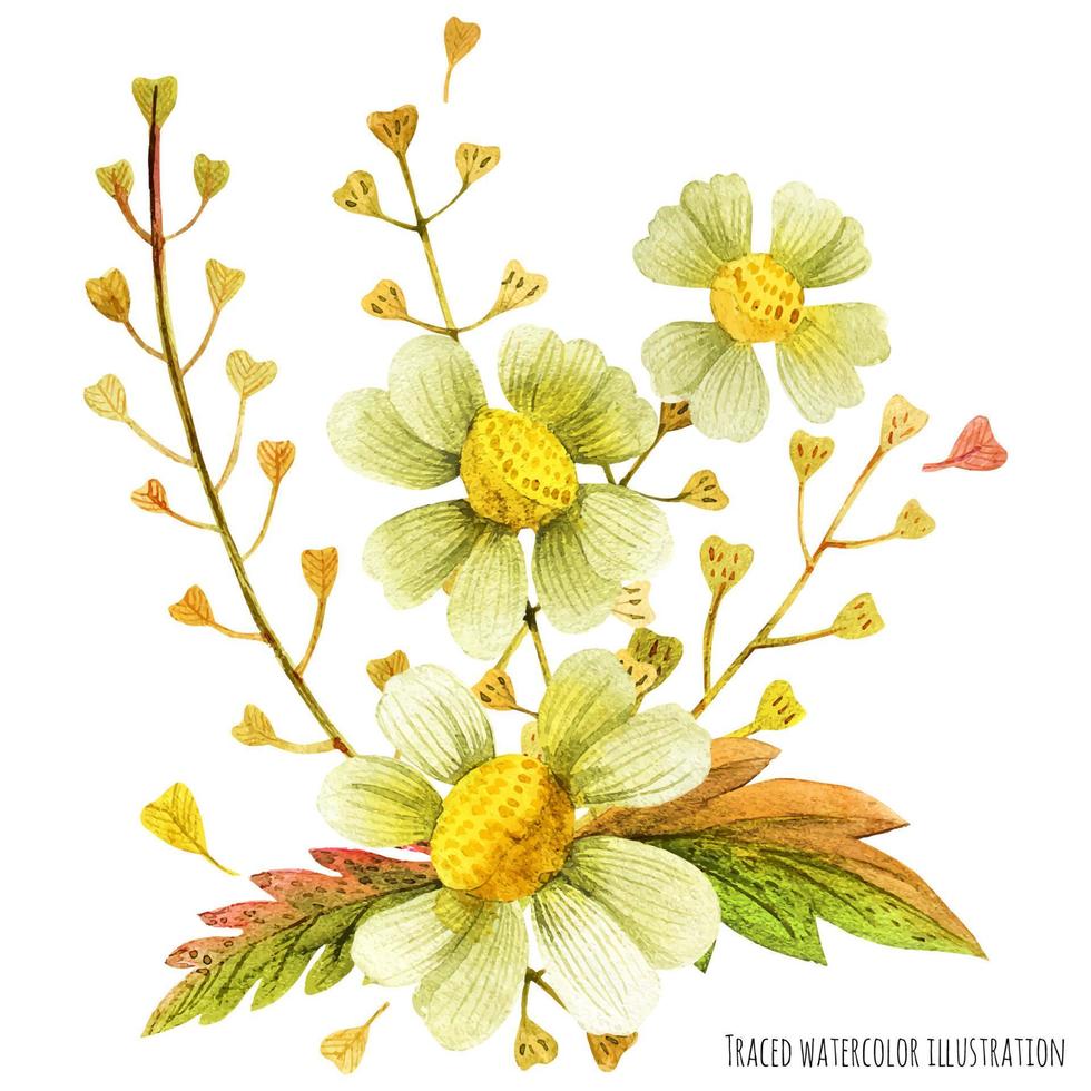 Meadow wild plants boutonniere vector