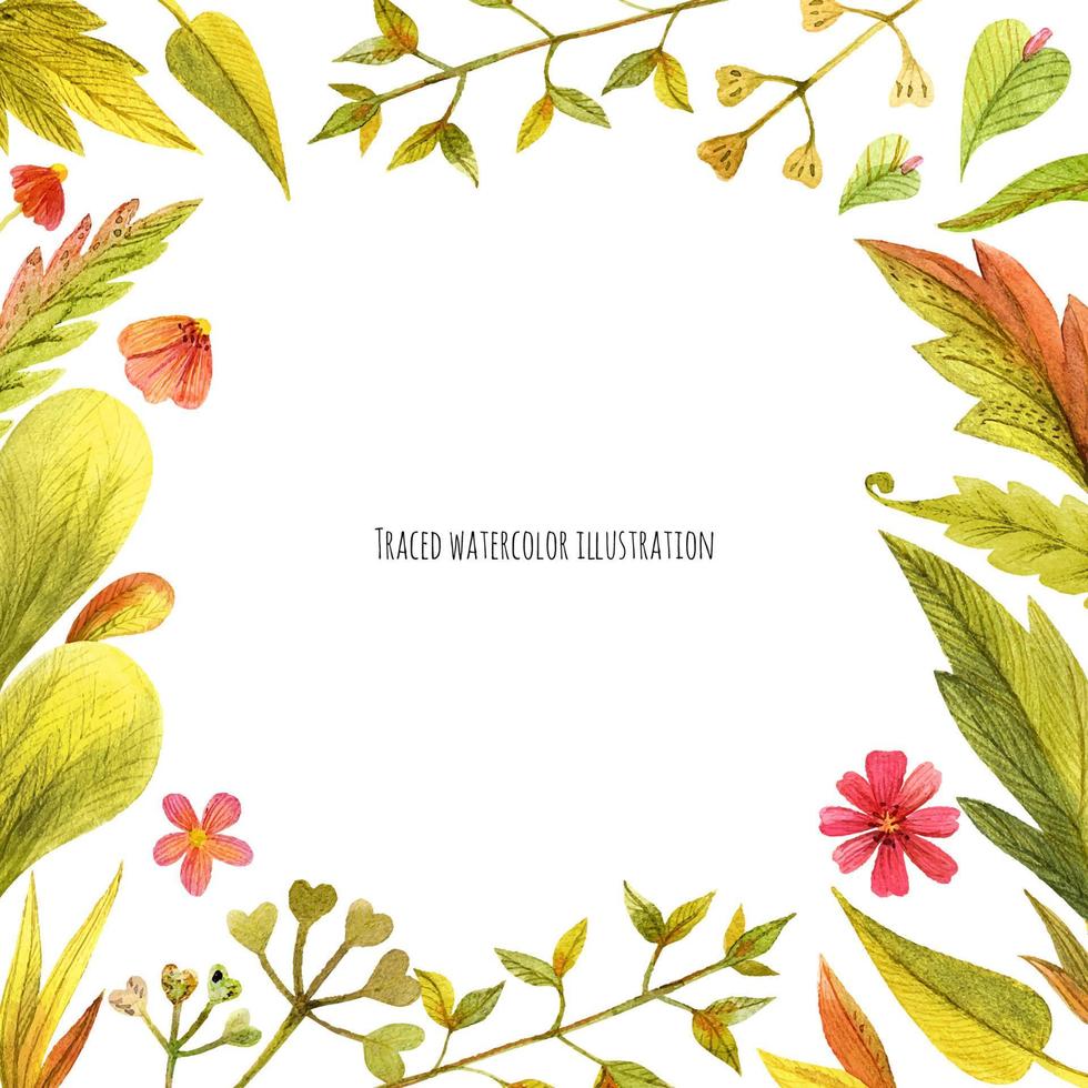 Meadow wild plants square frame vector