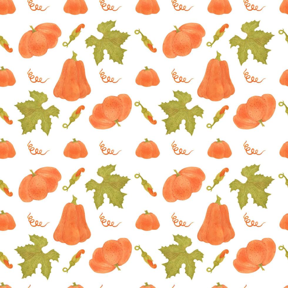 Watercolor seamless pattern with pumpkins vector