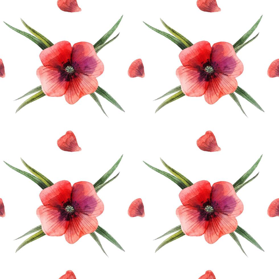 Floral Red Poppy seamless pattern vector