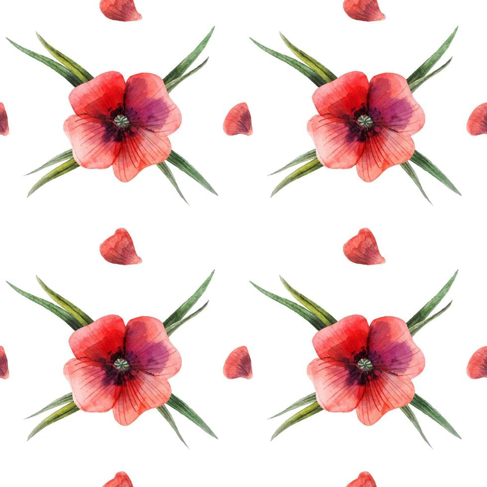 Floral Red Poppy seamless pattern vector