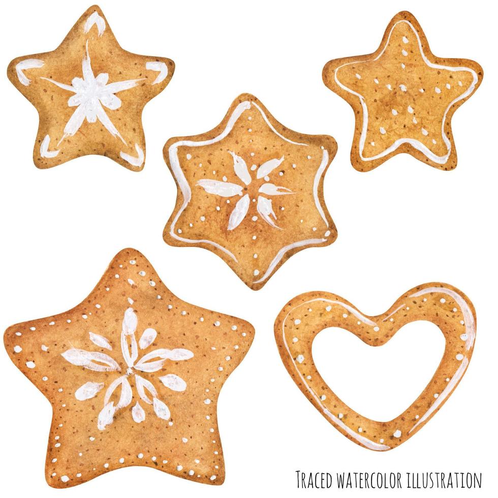 Homemade sugar ginger cookies decorated by icing vector
