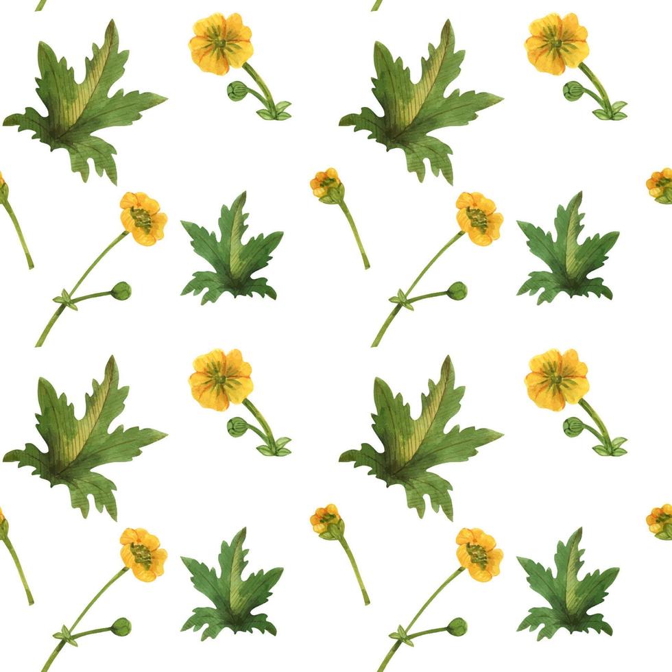 Wild plants of Scotland seamless pattern vector