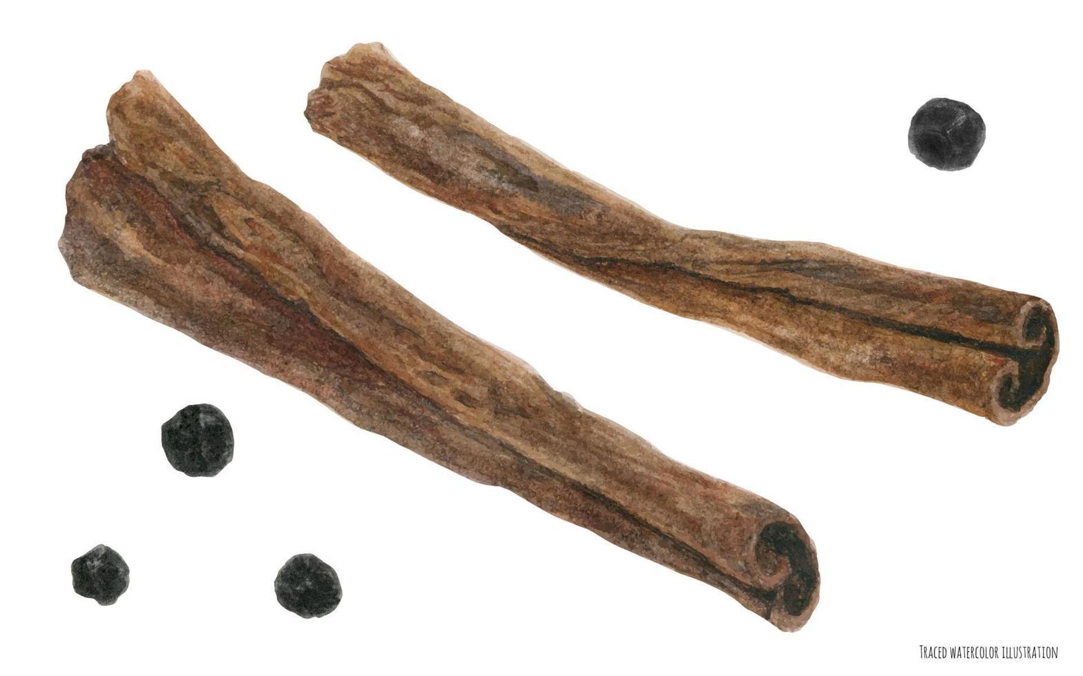 Cinnamon bark sticks and black pepper for Christmas mulled wine