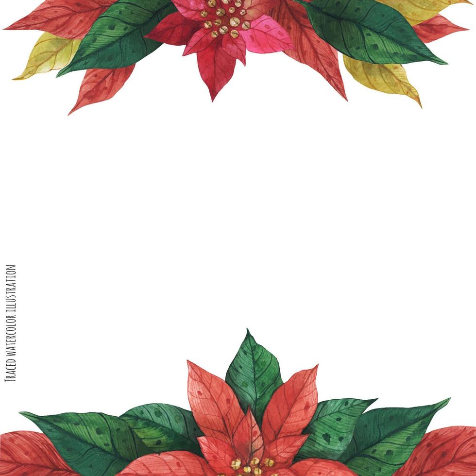 Red Green Poinsettia Frame vector