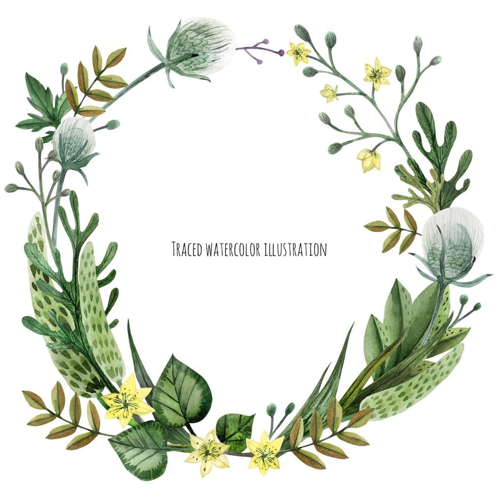 Wild Plants wreath vector