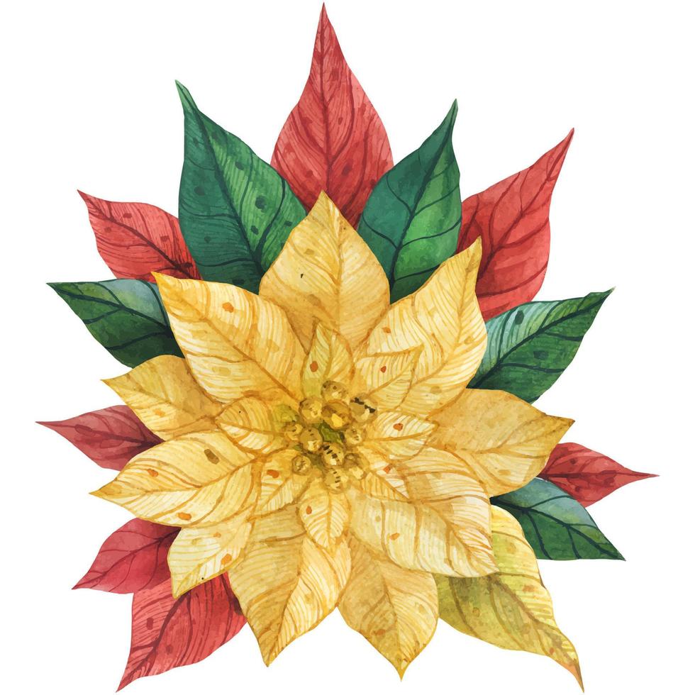 ramo navideño de flor de Pascua vector