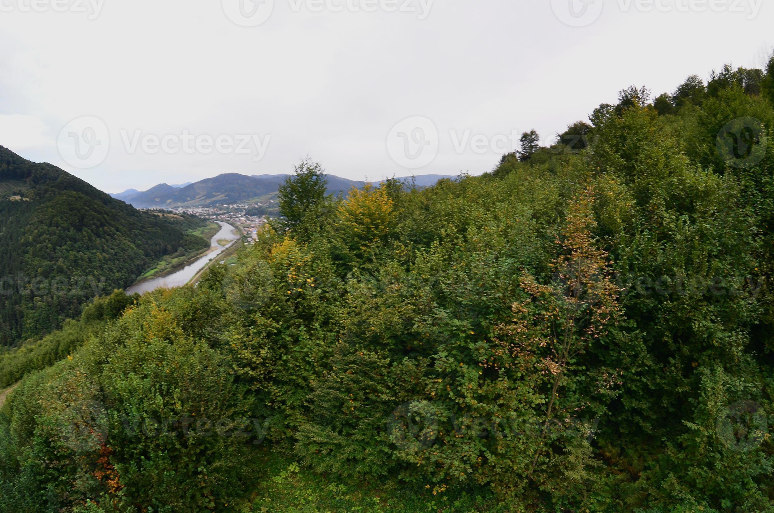 fragmento del terreno montañoso en los cárpatos, ucrania. el bosque es
