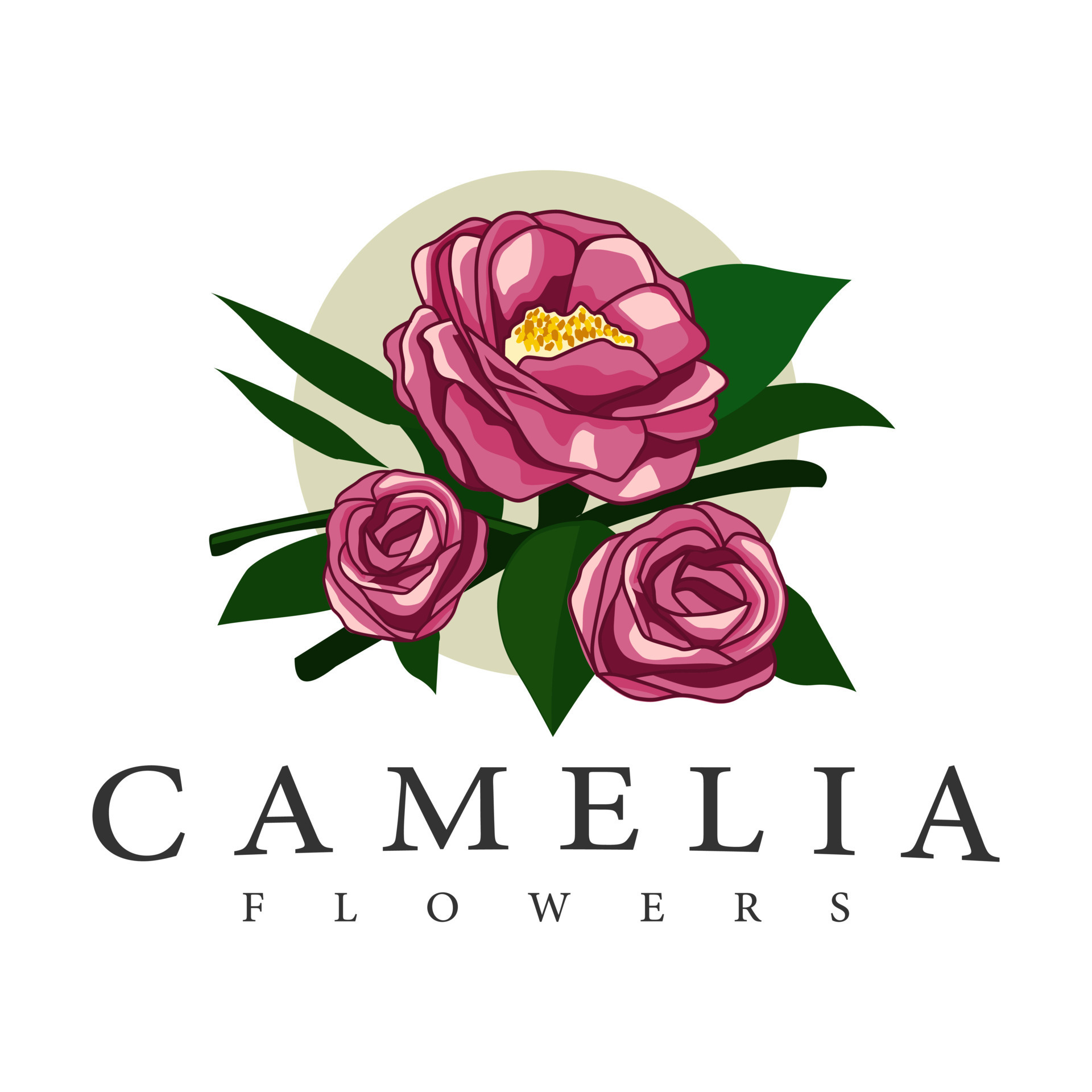vector de diseño de marca de logotipo de flor de camelia 12765028 Vector en  Vecteezy