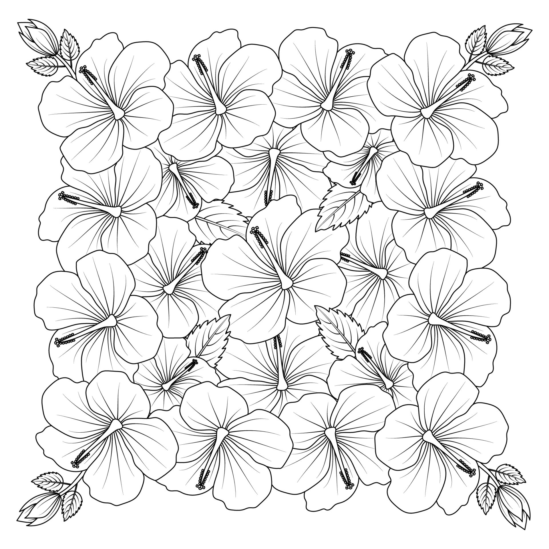 chinese hibiscus flower hand drawn coloring page illustration with line