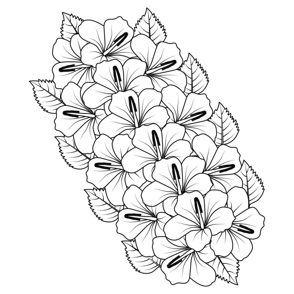 chinese hibiscus flower hand drawn coloring page illustration with line art on isolated background vector