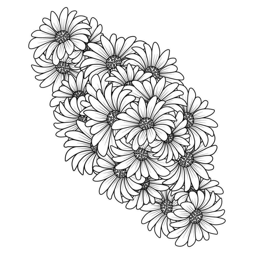 blossom daisy flower simplicity sketchy with artistic illustration on isolate background vector