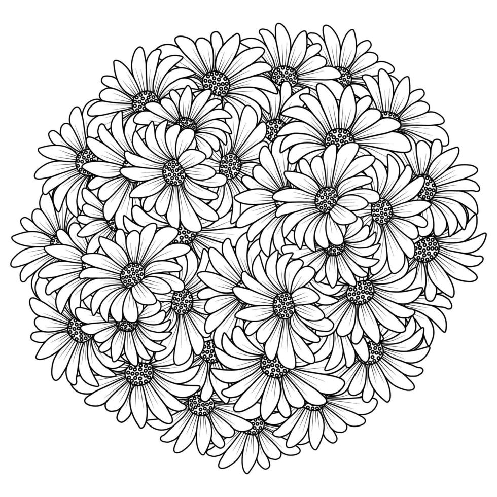 blossom daisy flower simplicity sketchy with artistic illustration on isolate background vector