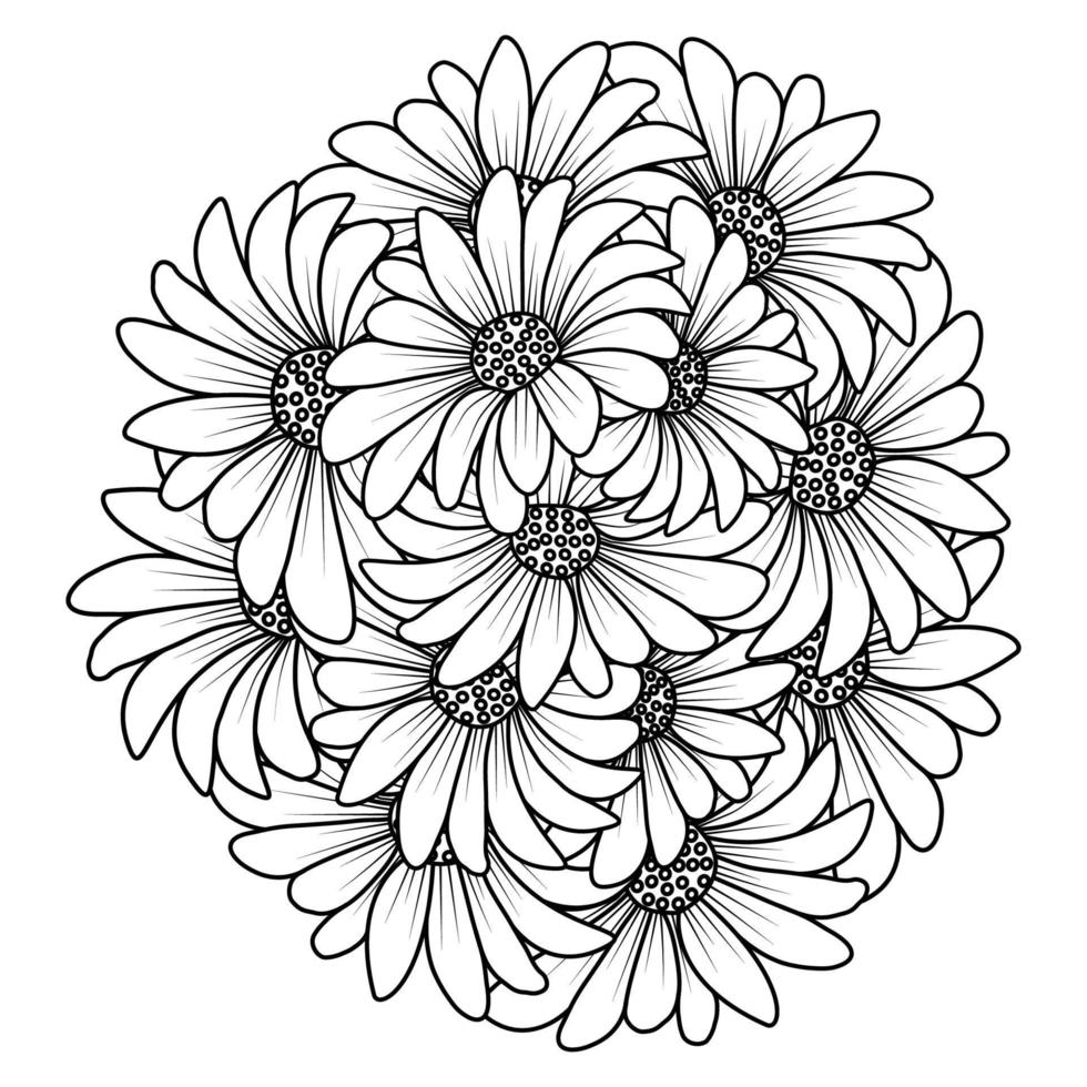 blossom daisy flower simplicity sketchy with artistic illustration on isolate background vector