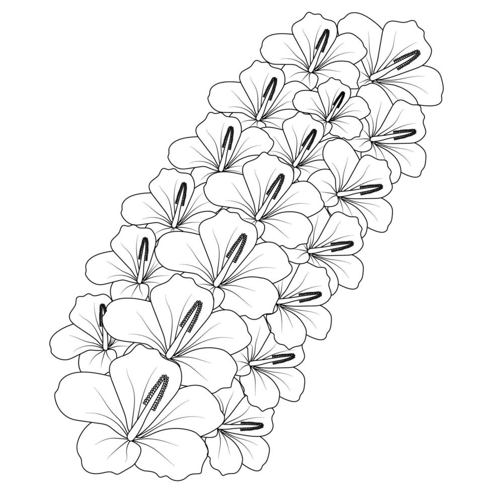 chinese hibiscus flower hand drawn coloring page illustration with line art on isolated background vector