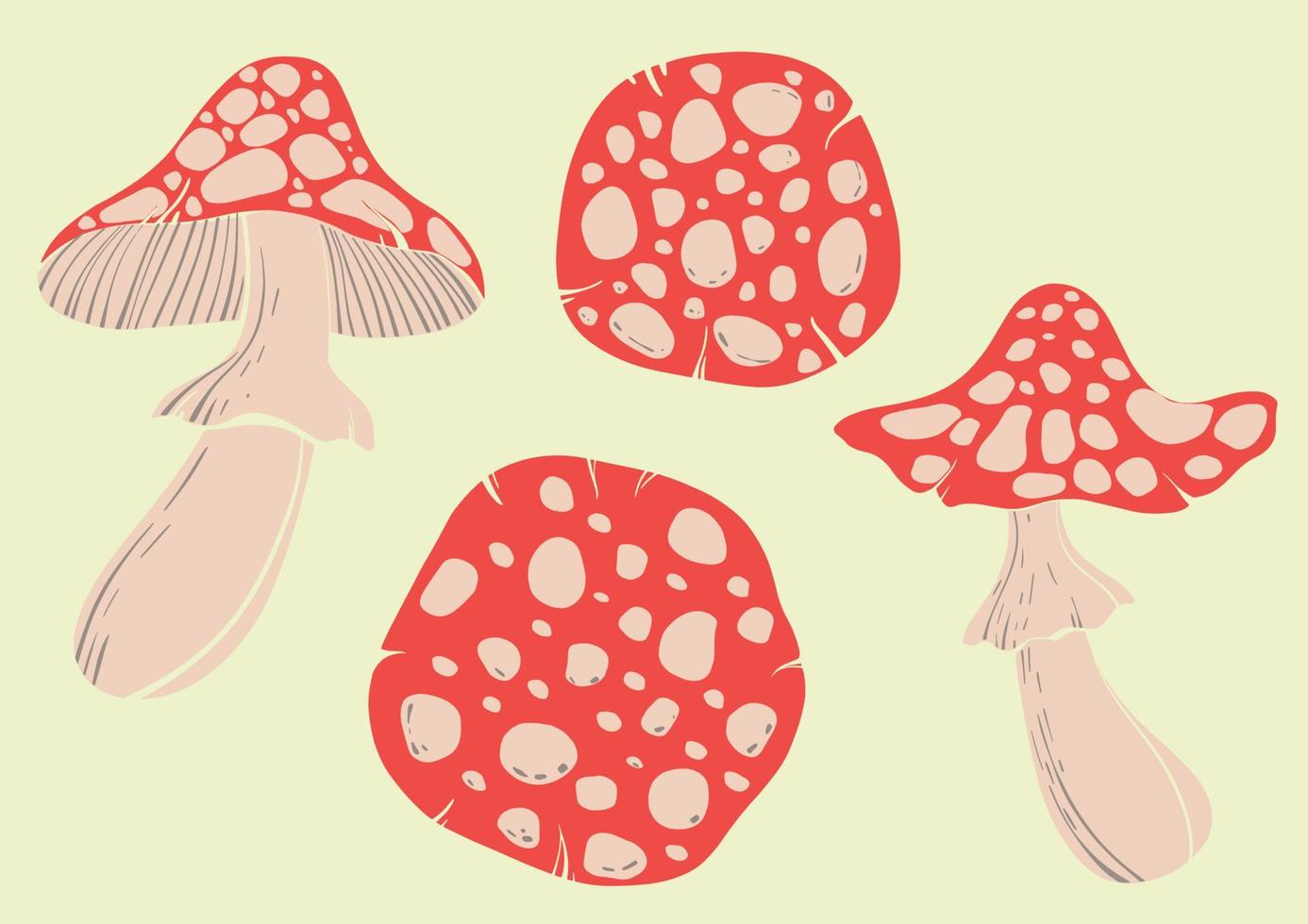 Fly agaric mushroom set. Flat colorful illustration of poisonous red mushrooms on a light background. Flat drawing sketch. Vector illustration in a flat style.