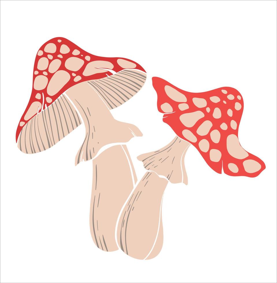 Two fly agaric mushrooms. Flat colorful illustration of red grebes on a light background. Flat drawing sketch. Vector illustration in a flat style.