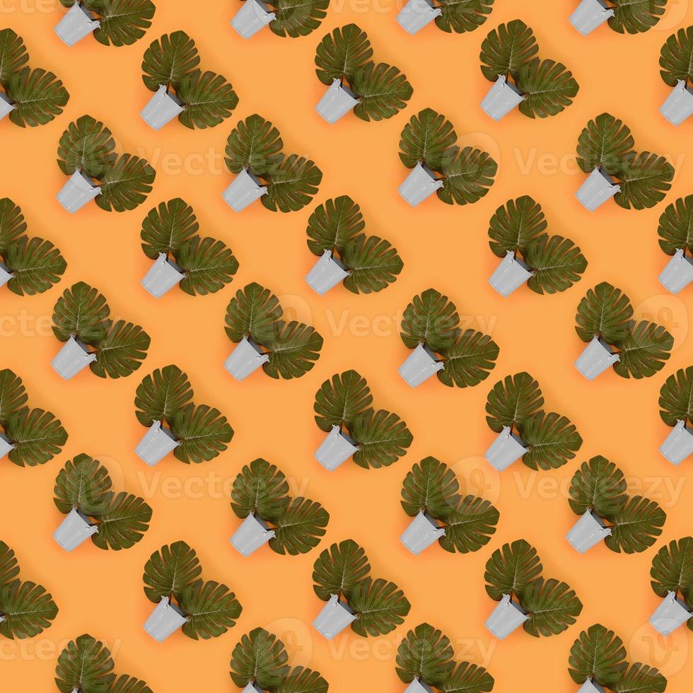 Tropical palm monstera leaves lies in a pastel pails on a colored background. Flat lay trendy minimal pattern. Top view photo