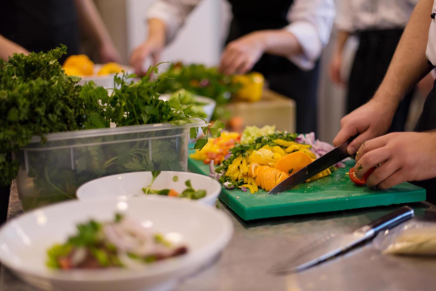 team cooks and chefs preparing meal photo