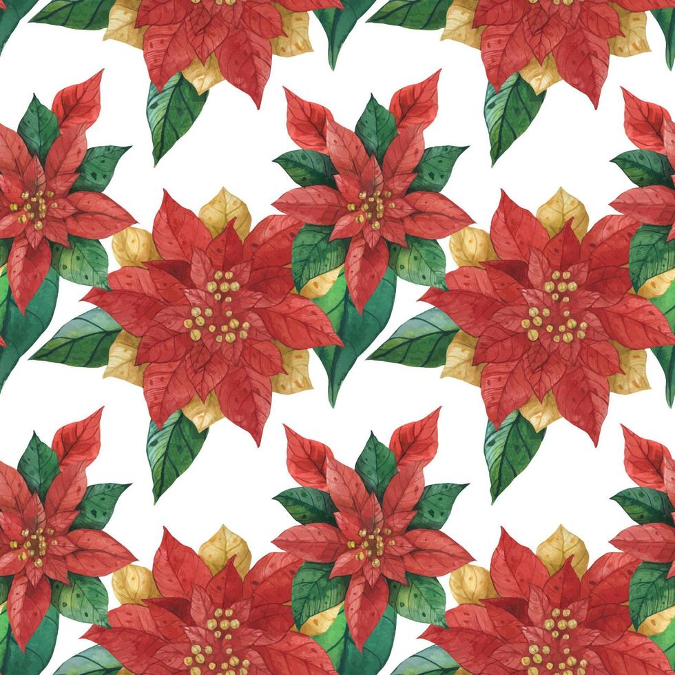 Christmas Red Green Star Poinsettia pattern vector