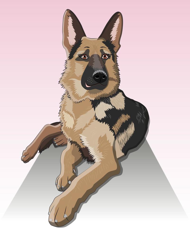 perro pastor alemán raza sentado y sonrisa vector