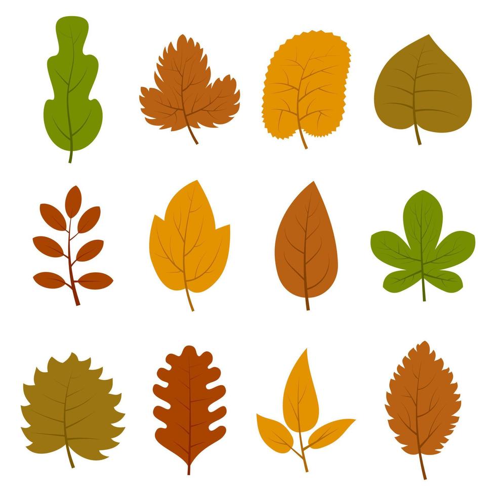 conjunto de doce hojas de otoño diferentes aisladas sobre fondo blanco. ilustración vectorial vector