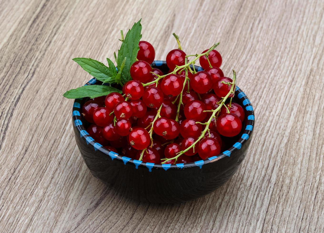 Red currants dish view photo
