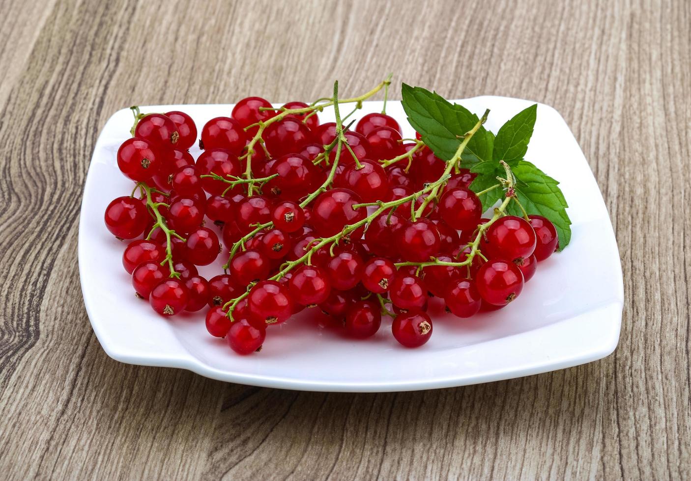 Red currants dish view photo