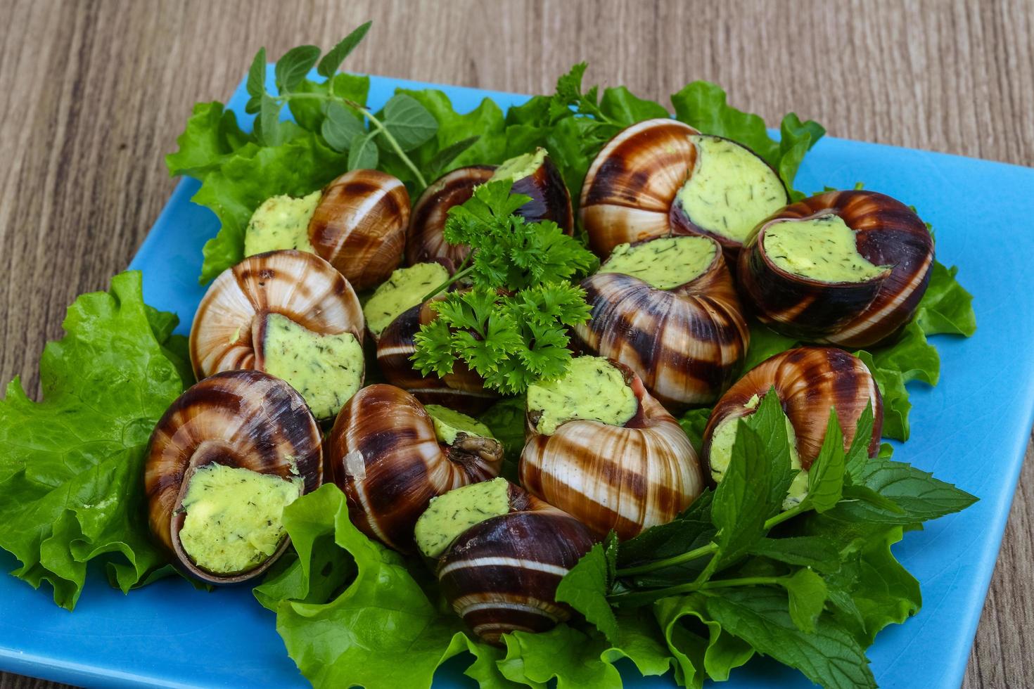 Escargot on wood photo