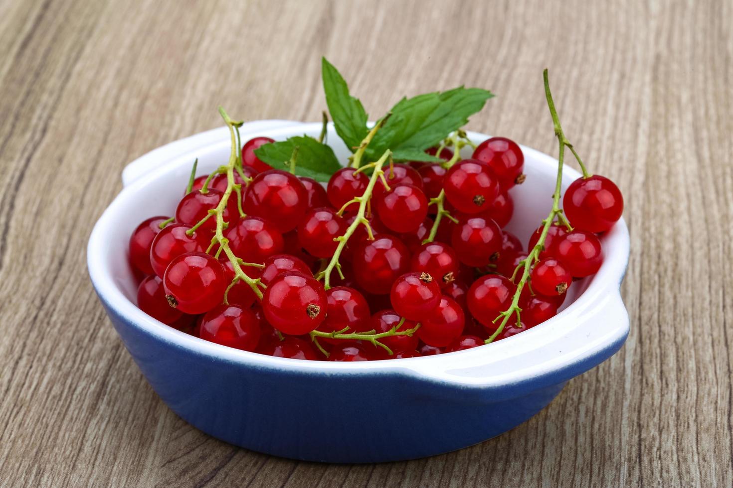 Red currants view photo