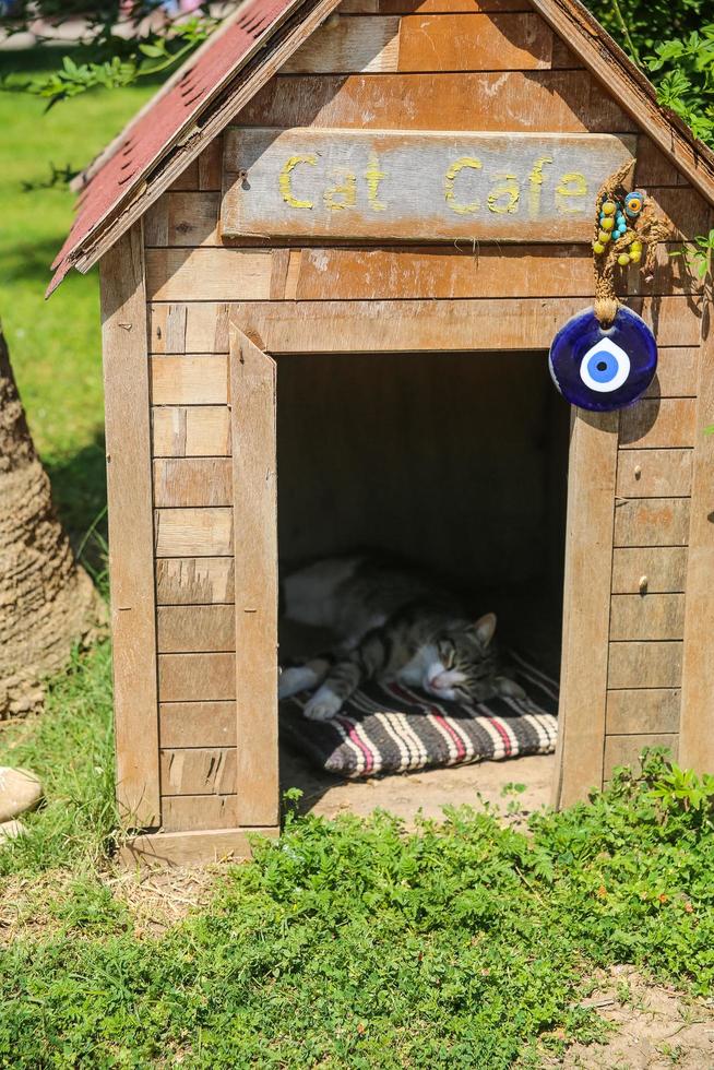 Kemer dog house photo