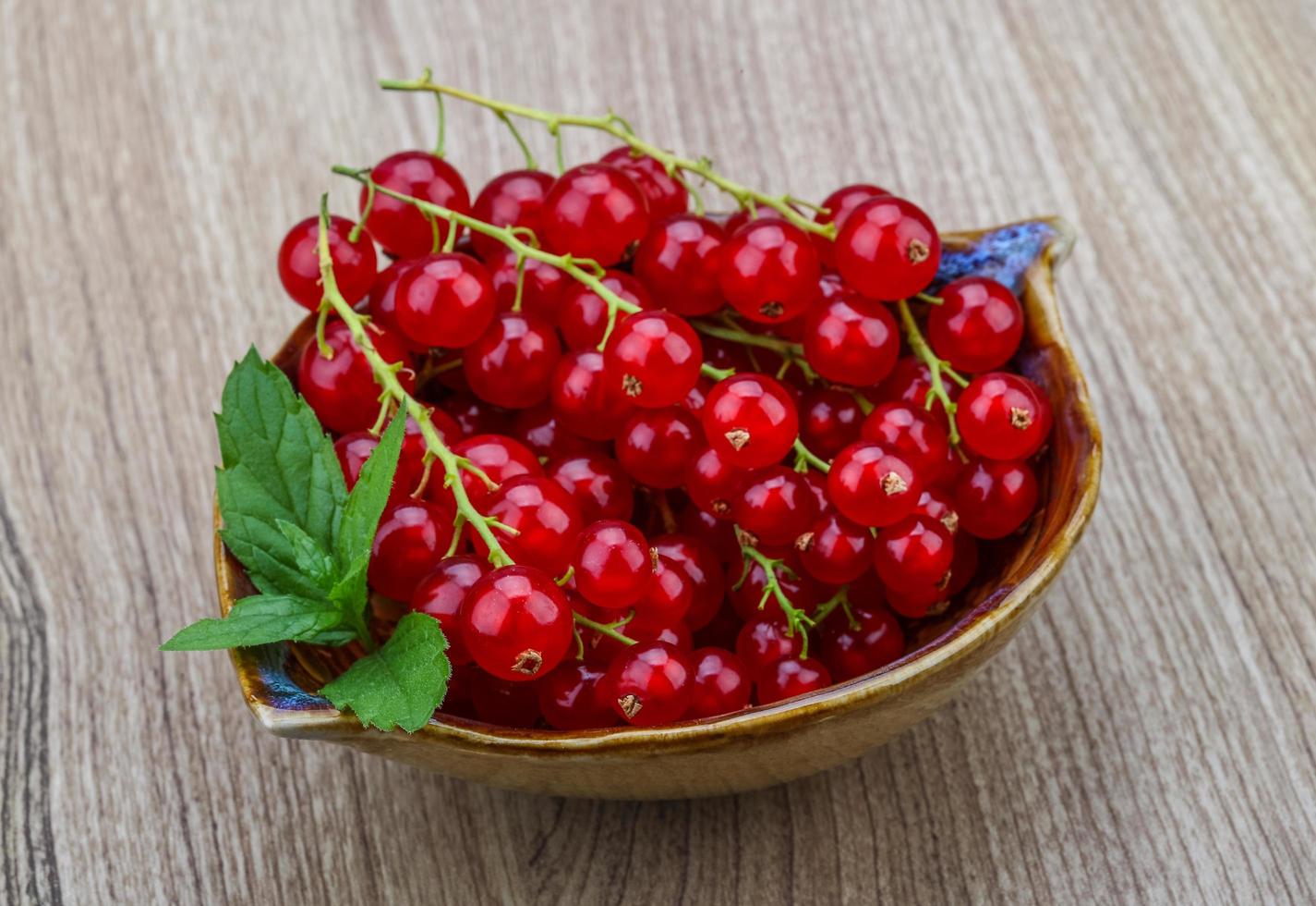 Red currants dish view photo